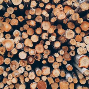 wood, pile, logs, bole, firewood, pieces of timber, woodpile, wooden, timber, forestry, texture, deforestation, material, wooden logs, wood, wood, wood, wood, wood, logs, firewood, timber