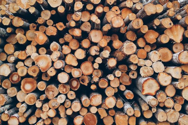 wood, pile, logs, bole, firewood, pieces of timber, woodpile, wooden, timber, forestry, texture, deforestation, material, wooden logs, wood, wood, wood, wood, wood, logs, firewood, timber